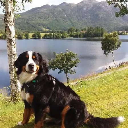 Pulpit Rock Vaulali Hostal *