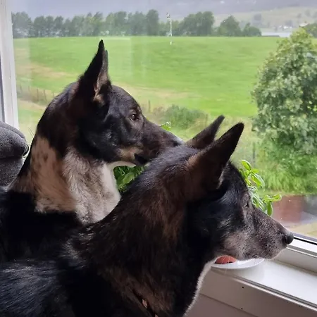 Pulpit Rock Vaulali Hostel Tau